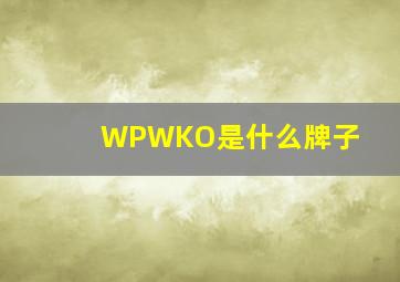 WPWKO是什么牌子(