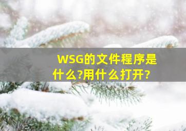 WSG的文件程序是什么?用什么打开?