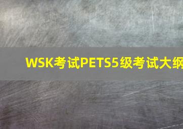 WSK考试PETS5级考试大纲