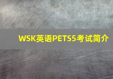 WSK英语PETS5考试简介 