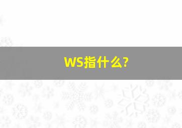 WS指什么?