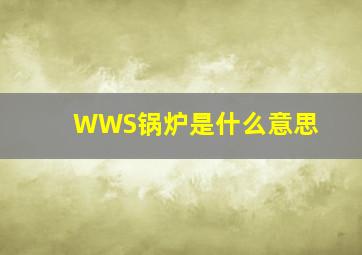 WWS锅炉是什么意思