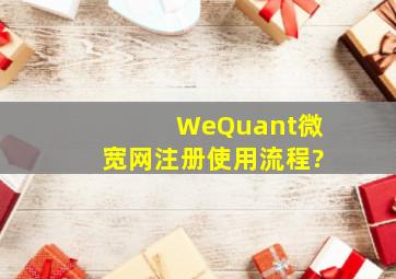 WeQuant微宽网注册使用流程?