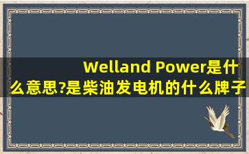 Welland Power是什么意思?是柴油发电机的什么牌子吗?
