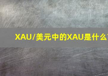 XAU/美元中的XAU是什么?