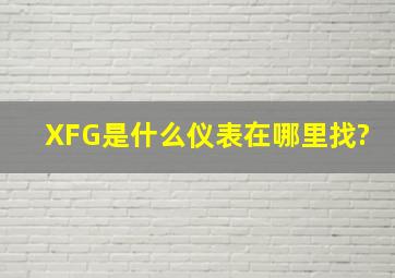 XFG是什么仪表,在哪里找?