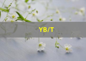 YB/T