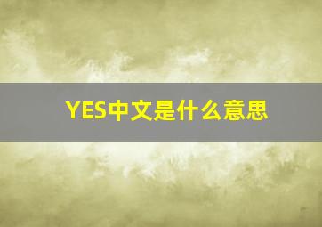 YES中文是什么意思