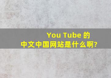 You Tube 的中文(中国)网站是什么啊?