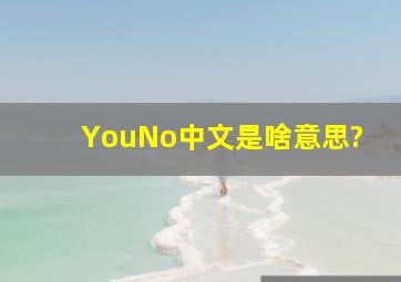 YouNo中文是啥意思?