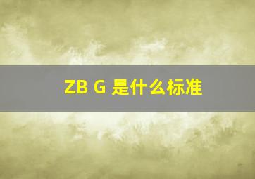 ZB G 是什么标准