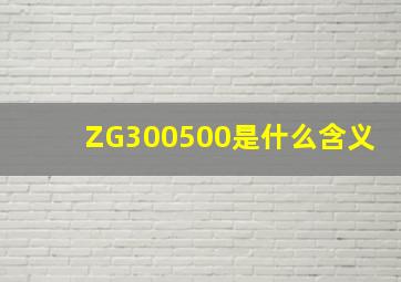 ZG300500是什么含义