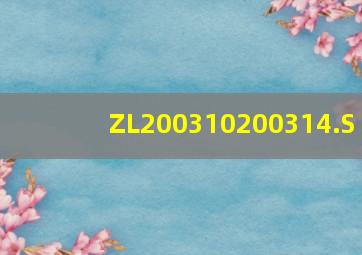 ZL200310200314.S