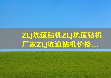 ZLJ坑道钻机,ZLJ坑道钻机厂家,ZLJ坑道钻机价格...