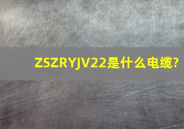 ZSZRYJV22是什么电缆?