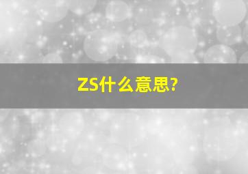 ZS什么意思?