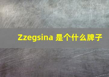 Zzegsina 是个什么牌子