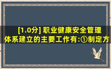 [1.0分] 职业健康安全管理体系建立的主要工作有:①制定方针、目标、...