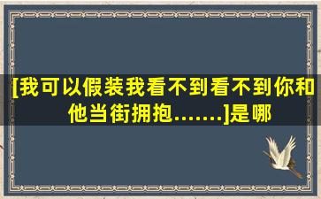 [我可以假装我看不到,看不到你和他当街拥抱.......]是哪首歌的歌词?