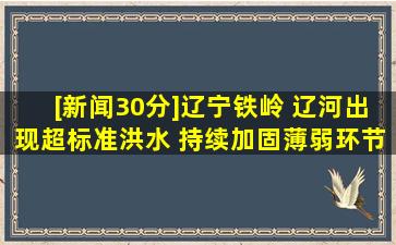 [新闻30分]辽宁铁岭 辽河出现超标准洪水 持续加固薄弱环节