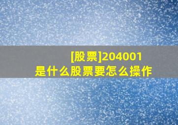 [股票]204001是什么股票,要怎么操作