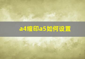 a4缩印a5如何设置