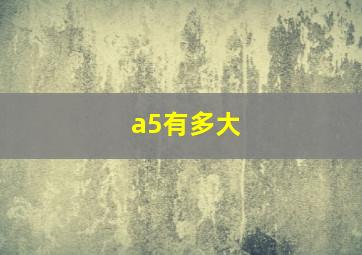 a5有多大(