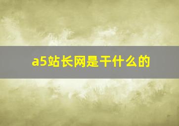 a5站长网是干什么的