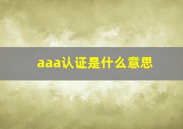 aaa认证是什么意思