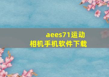 aees71运动相机手机软件下载