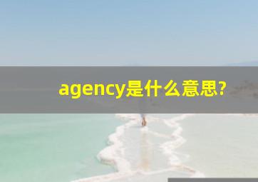 agency是什么意思?