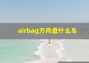 airbag方向盘什么车