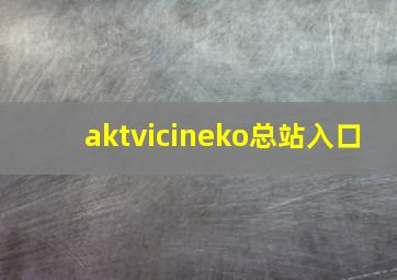 aktvicineko总站入口