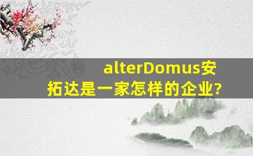 alterDomus安拓达是一家怎样的企业?