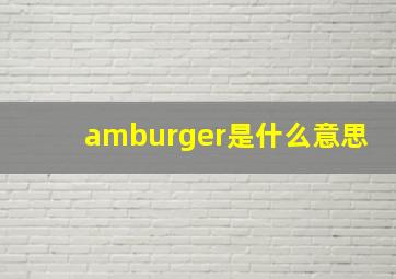 amburger是什么意思