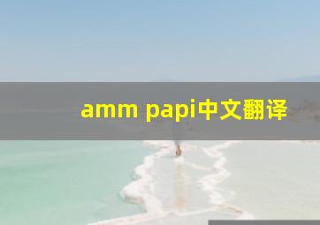 amm papi中文翻译