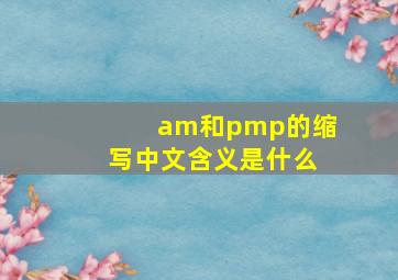 am和pmp的缩写中文含义是什么