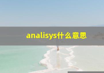 analisys什么意思