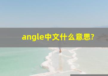 angle中文什么意思?