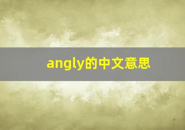 angly的中文意思