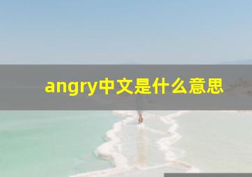 angry中文是什么意思