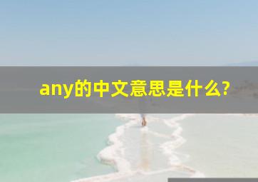 any的中文意思是什么?
