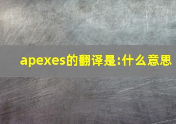 apexes的翻译是:什么意思