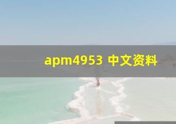 apm4953 中文资料