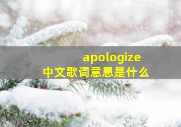 apologize中文歌词意思是什么