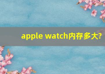 apple watch内存多大?