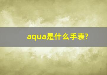 aqua是什么手表?