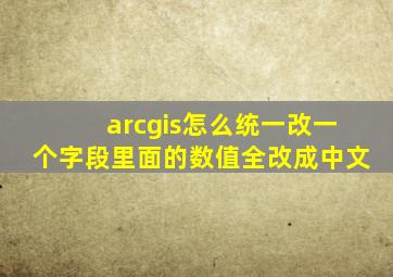 arcgis怎么统一改一个字段里面的数值全改成中文