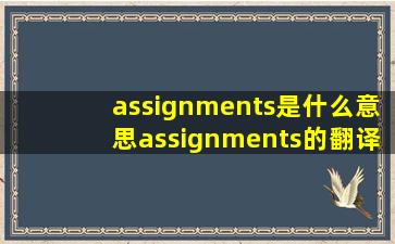 assignments是什么意思assignments的翻译音标