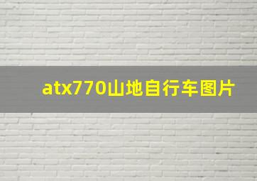 atx770山地自行车图片